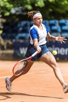 Bild 403 - BL DTV Hannover - BW Dresden Blasewitz : Ergebnis: 2:7